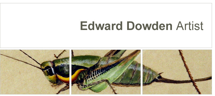 edward dowden contact banner